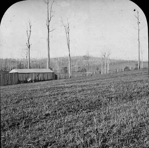 Lantern Slide - Farming Property, Gippsland, Victoria, Date Unknown. [BA 1917]
