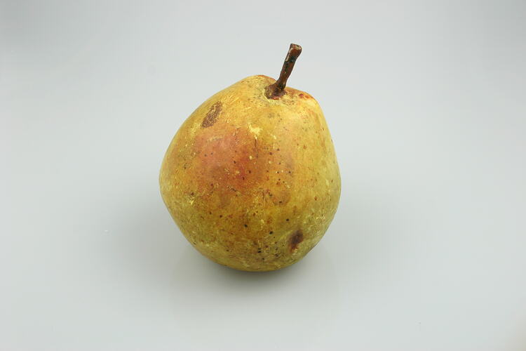 Pear Model - Whatmough's Bon Chretien, Victoria, 1875