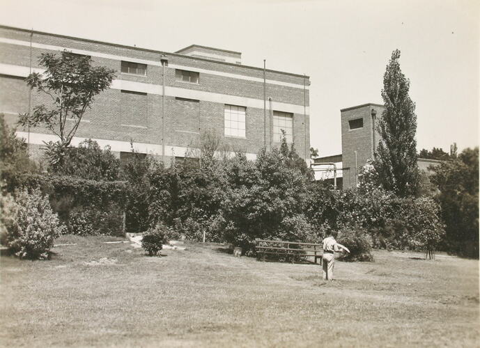 Photograph - 'Glass Plate Building', Kodak Factory, Abbotsford, 1940s