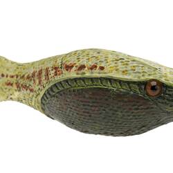 Model of extinct jawless fish.