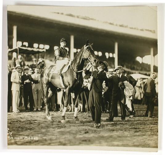 Photograph - Phar Lap, Billy Elliot and Tommy Woodcock, Agua Caliente, 1932