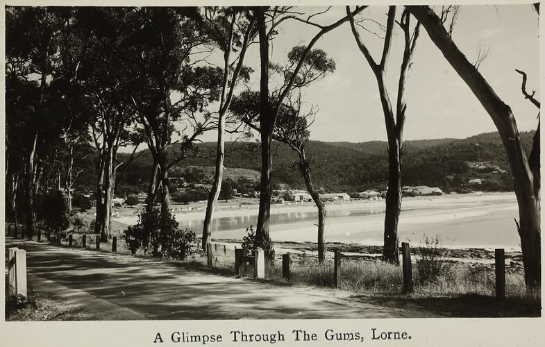 Postcard - 'A Glimpse Through The Gums', Lorne, Victoria, circa 1930s