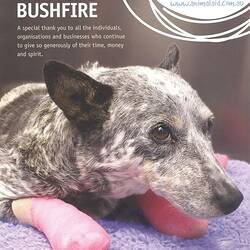 Booklet - 'Tales from the Bushfire', Victorian Animal Aid Trust, Edition 11, Victoria, 2009