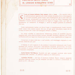 Catalogue - Tensi Lastre, 1911