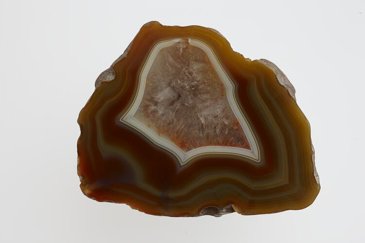 Cross section of amber and white banded agate.