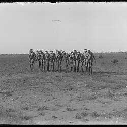 Glass plate. Arrernte. Charlotte Waters, Central Australia, Northern Territory, Australia. 06/04/1901