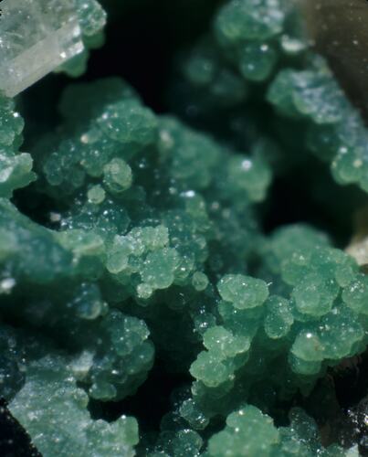 Rounded green crystals.