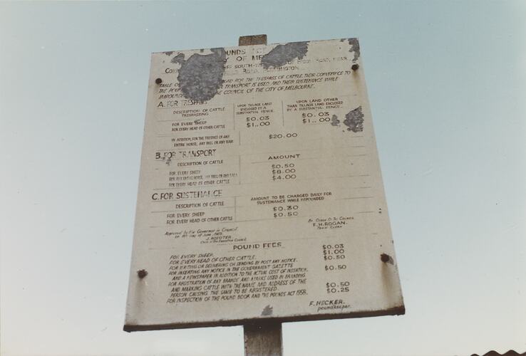 City Pound Notice, Newmarket Saleyards, Aug 1985