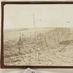 Photograph - German Barbed Wire Around Favreuil, France, Sergeant John Lord, World War I, 1917