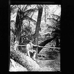 Glass Negative - Man in a Forest, by A.J. Campbell, Sassafras Gully, Dandenong Ranges, Victoria, circa 1900