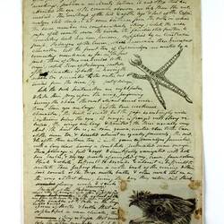 Manuscript Extract - Archive, John Cotton, 1843-1849