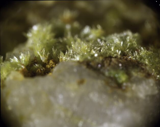 Yellow-green needle-like crystals growing from a rock surface.