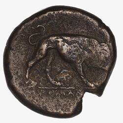 Coin - Double-Litra, Ancient Roman Republic, 275-270 BC