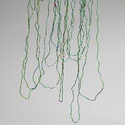 Ornament, neck, Papua New Guinea