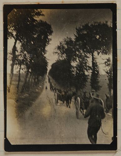Horsedrawn carts travelling on a tree lined road.