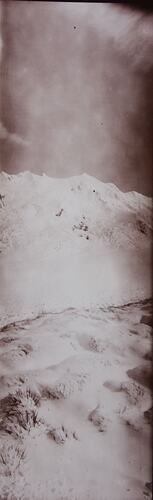 Back of photograph of New Zealand by Walter Baldwin Spencer, 1906/7