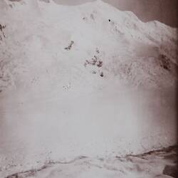 Back of photograph of New Zealand by Walter Baldwin Spencer, 1906/7