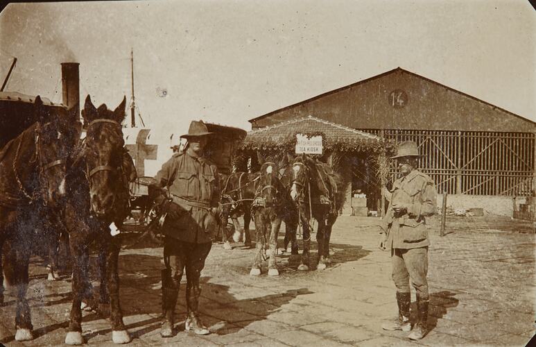 'Wounded at Alexandria', Horse-Drawn Ambulances, Egypt, World War I, Dec 1915