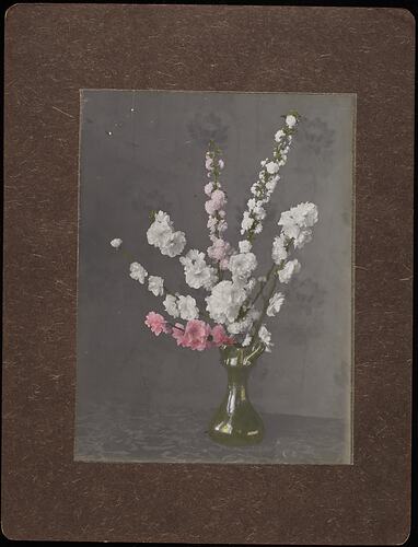Still life of pink and white blossom flowers.