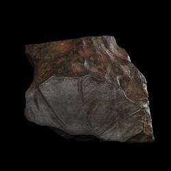 Henbury Meteorite. [E 4971]
