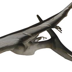 Model of a pterosaur.