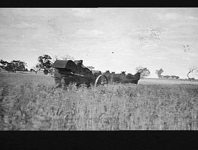 THESE PHOTOS TAKEN (1920) AT QUAMBATOOK