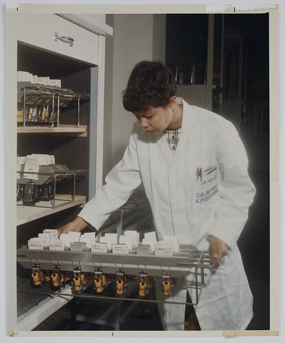 Woman arranging film on rack in laboratory.