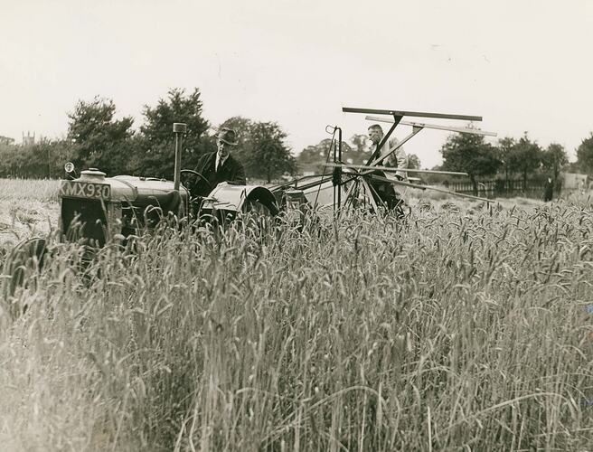 Man sitting on reaper binder being drawn by a man driving a tractor.