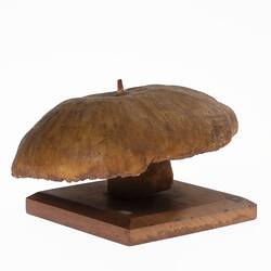 Mushroom Model - Psalliota Campestris (Agaricaceae), 1884-1888
