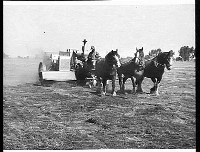 PICKING UP SUB-CLOVER AT KYABRAM, VIC. (MCQUEEN) HST EF HEADER.