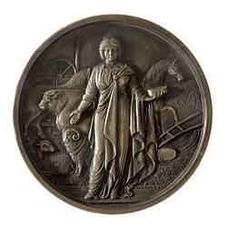 Medal - National Agricultural Society of Victoria Silver Prize, 1873