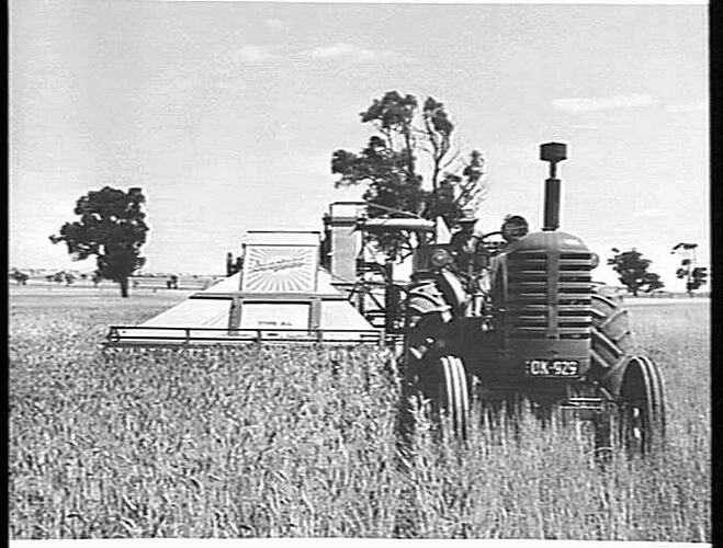 HAUSTORFER, NATIMUK, A.L. & 744D: JAN 1955