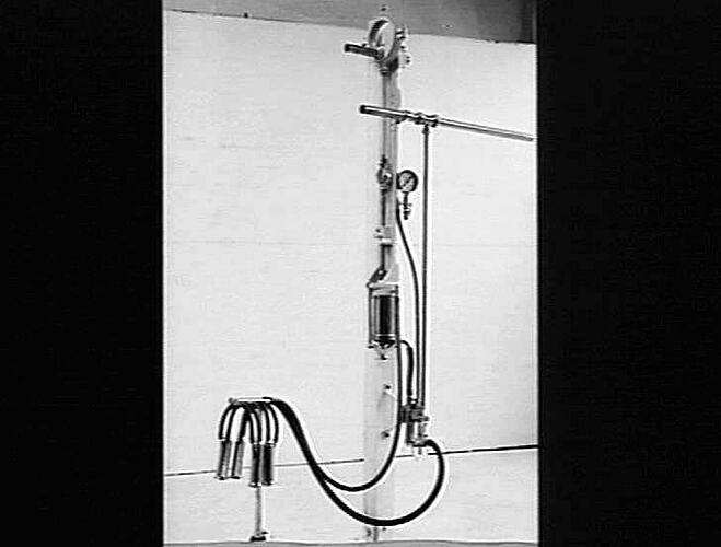 SUNSHINE MILKING UNIT: MAY 1941