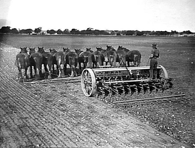 Photograph - H. V. McKay factory and/or equipment