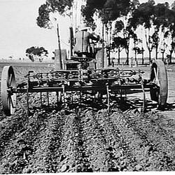 Photograph - H.V. McKay Massey Harris, Farm Equipment Manufacture & Field Trials, Woolseley, South Australia, May 1938