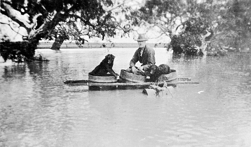 [A man with his dogs on a home made raft in the flooded Fiery Creek, Mininera East, near Ballarat, 1935.]