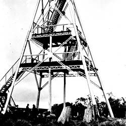 Negative - Mount Donna Buang, Victoria, circa 1930