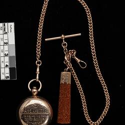 Gold fob chain with 'T' attached to rectangular goldish brown fob pendant. Attached at other end is a round gold engraved sovereign case.