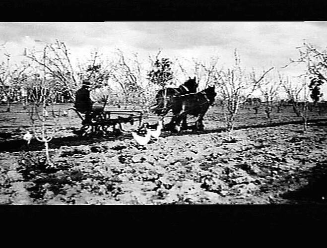 NO. 5. COPY NEGATIVE TAKEN MAY 1927. `SUNWREST' AT WORK