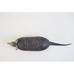 <em>Dasypus novemcinctus</em>, Nine-banded Armadillo. [C 27258]