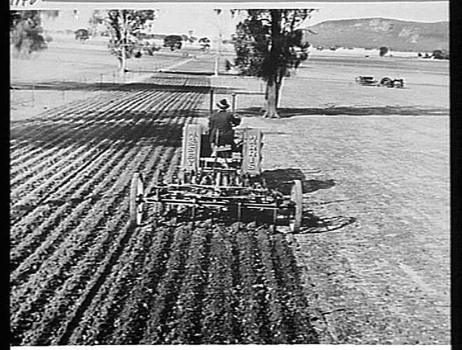 Photograph - H. V. McKay factory and/or equipment