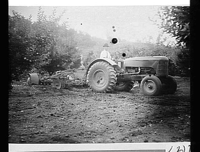 MODEL 102 TRACTOR PULLING A `SUNPLIANT' TANDEM DISC HARROW ON THE PROPERTY OF MR. W. TEMBY, PICKERING BROOK: MAY 1943