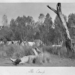Photograph - 'The Camp', by A.J. Campbell, Barry's Range, Victoria, 1902