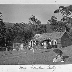 Photograph - 'Near Ferntree Gully', by A.J. Campbell, Victoria, circa 1895