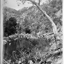 Photograph - 'Blackwood Pool', by A.J. Campbell, Werribee Gorge, Victoria, Nov 1895