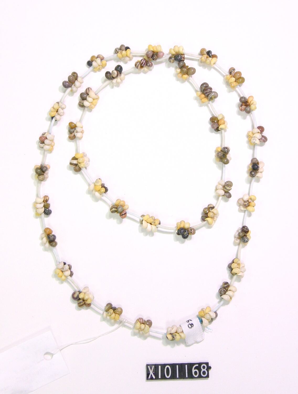 Ornament, neck. Burarra. Maningrida, Central Arnhem Land, Northern