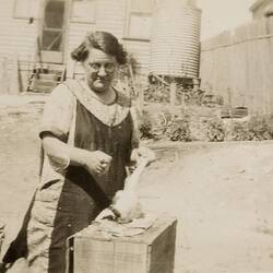 Digital Photograph - Woman in Apron Plucking a Duck, Backyard, Brunswick, circa 1930