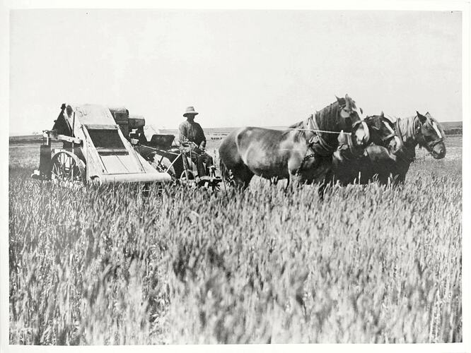 Photograph - Sunshine Harvester in a Field