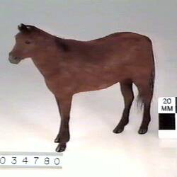 Horse Model - 1879-1944