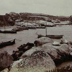 Mutton-birder's Fleet, Chappell Island